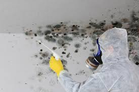 Best Attic Mold Removal  in Lake Of The Woods, IL